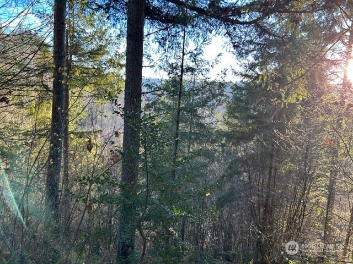 Picture of Residential Land For Rent in Renton, Washington, United States