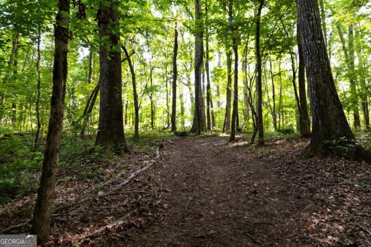 Picture of Residential Land For Sale in Monticello, Georgia, United States