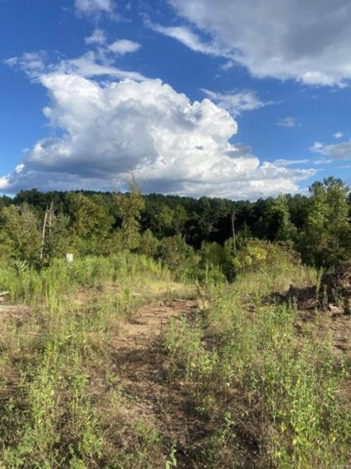 Picture of Residential Land For Sale in Lockesburg, Arkansas, United States