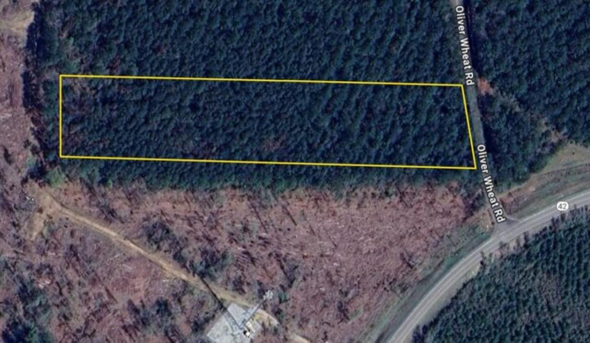 Picture of Residential Land For Sale in Livingston, Louisiana, United States