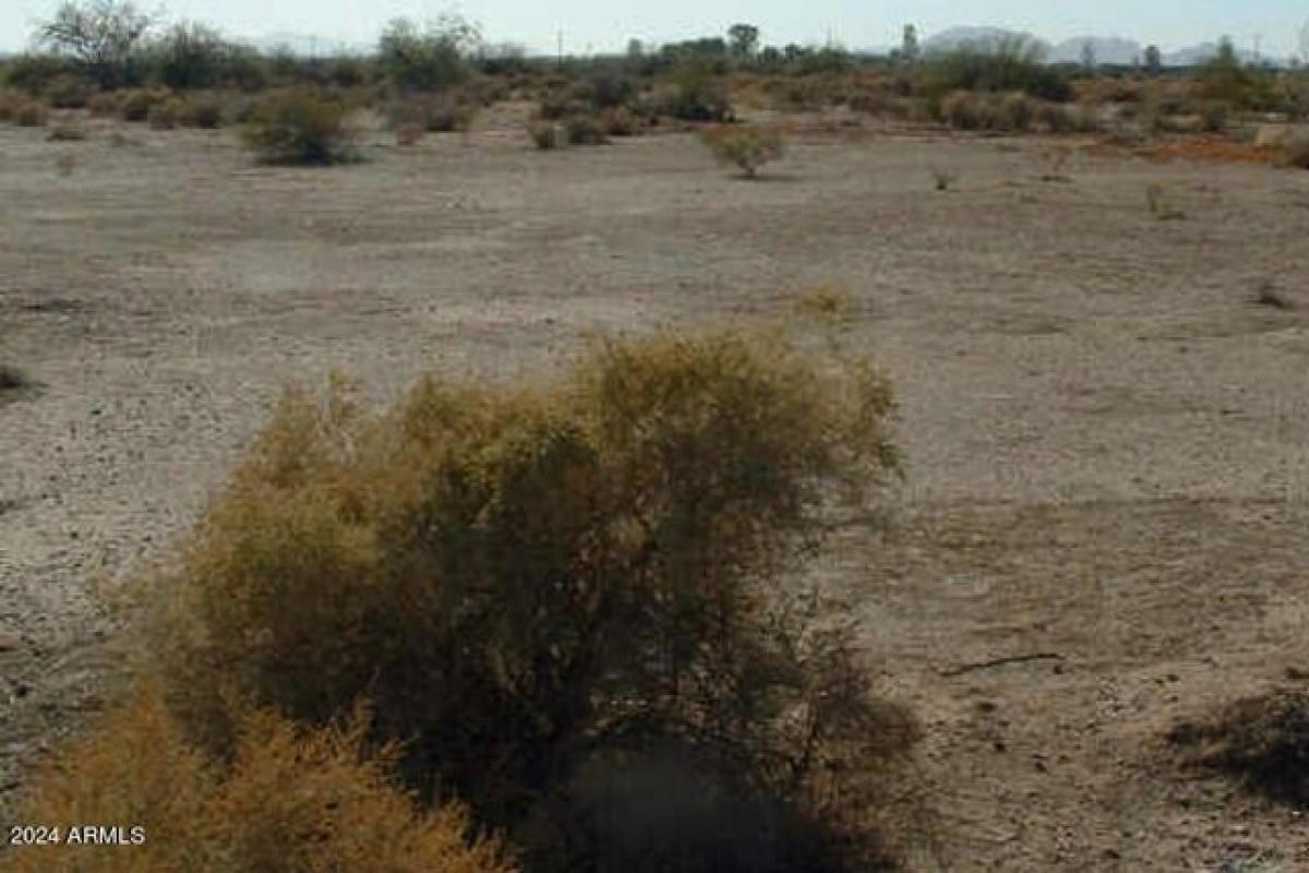 Picture of Residential Land For Rent in Eloy, Arizona, United States
