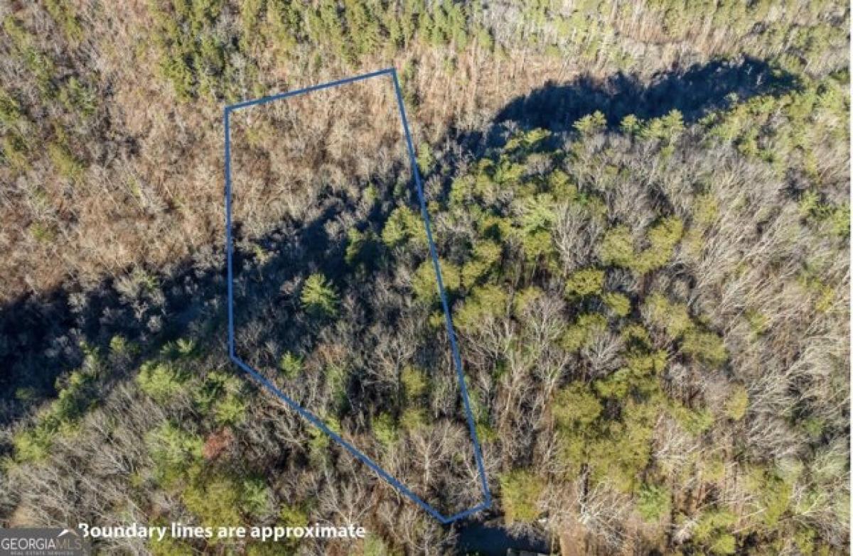 Picture of Residential Land For Sale in Ranger, Georgia, United States