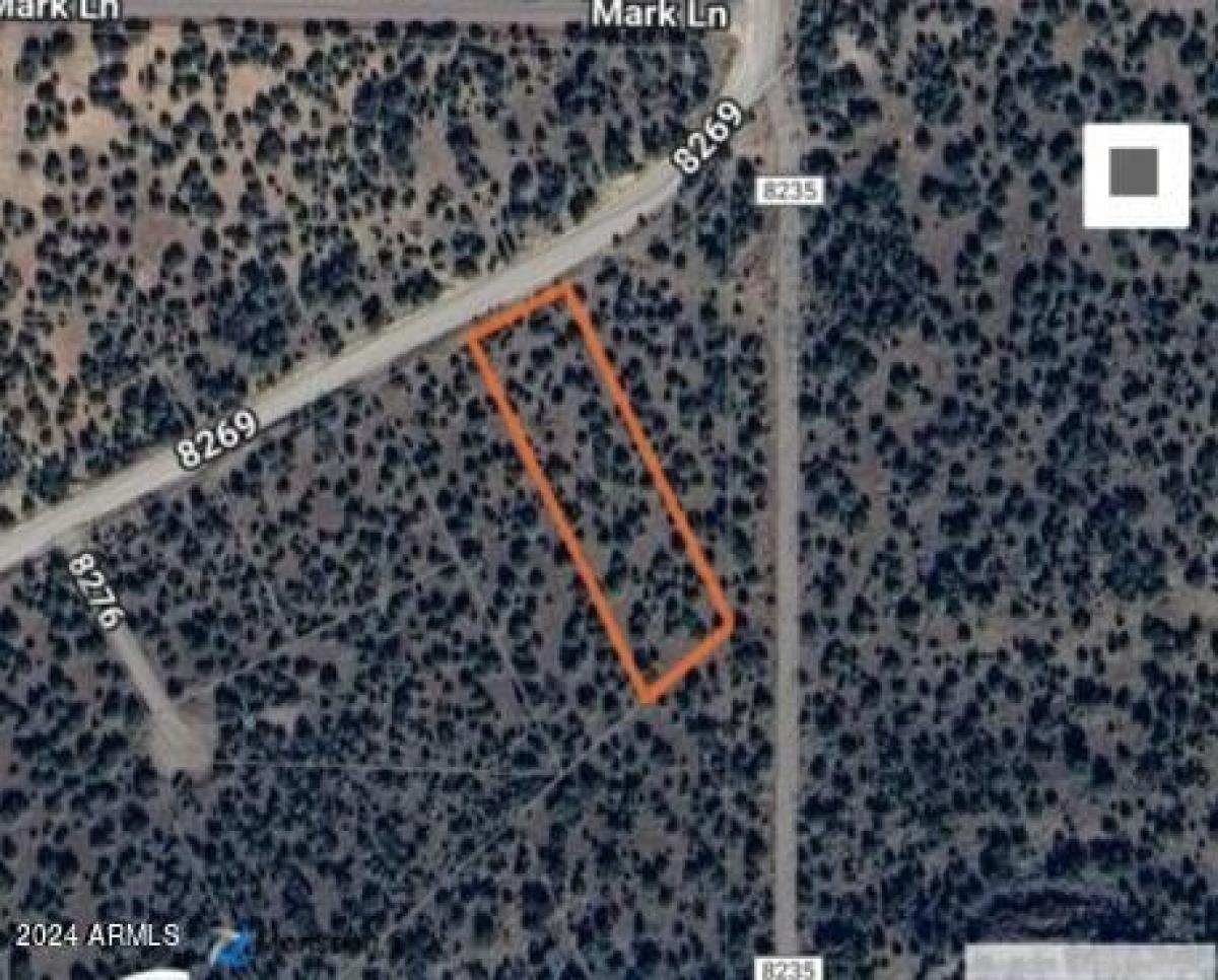 Picture of Residential Land For Rent in Show Low, Arizona, United States