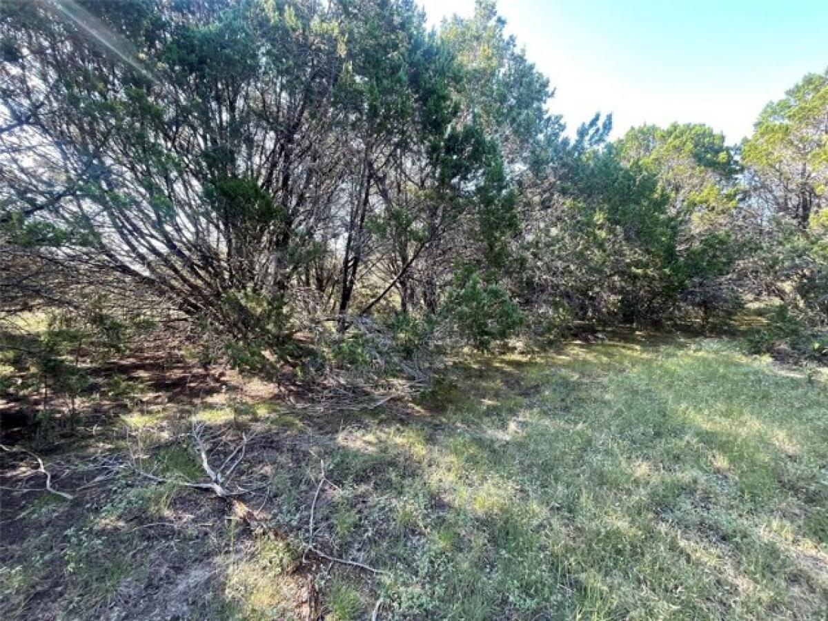 Picture of Residential Land For Rent in Whitney, Texas, United States