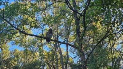 Residential Land For Rent in Inverness, Florida