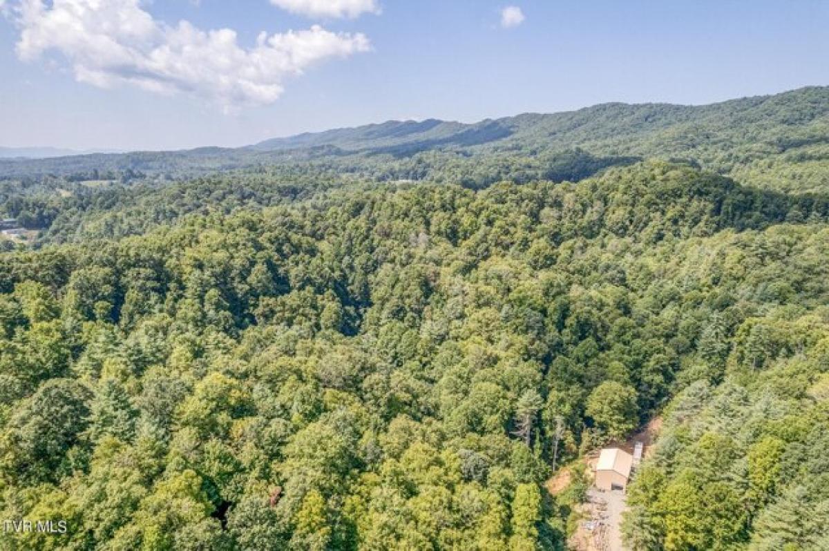 Picture of Residential Land For Sale in Laurel Bloomery, Tennessee, United States