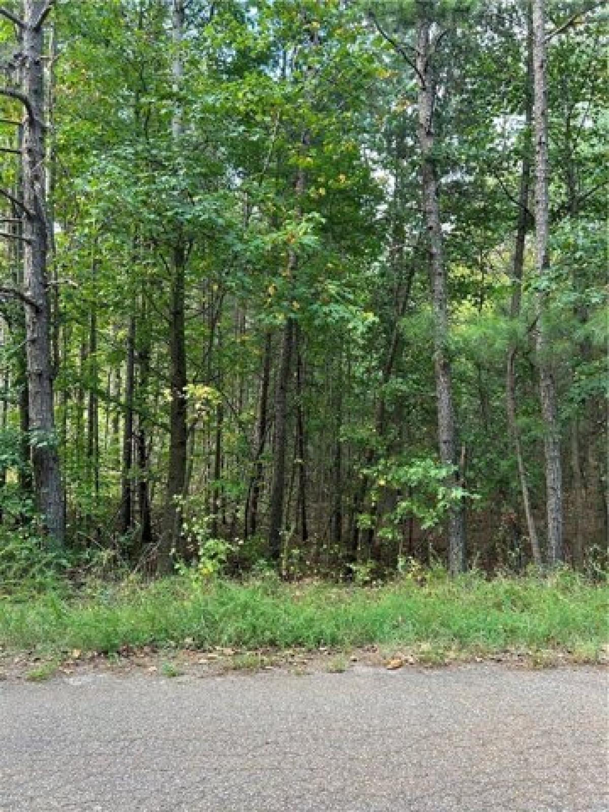 Picture of Residential Land For Rent in Seneca, South Carolina, United States