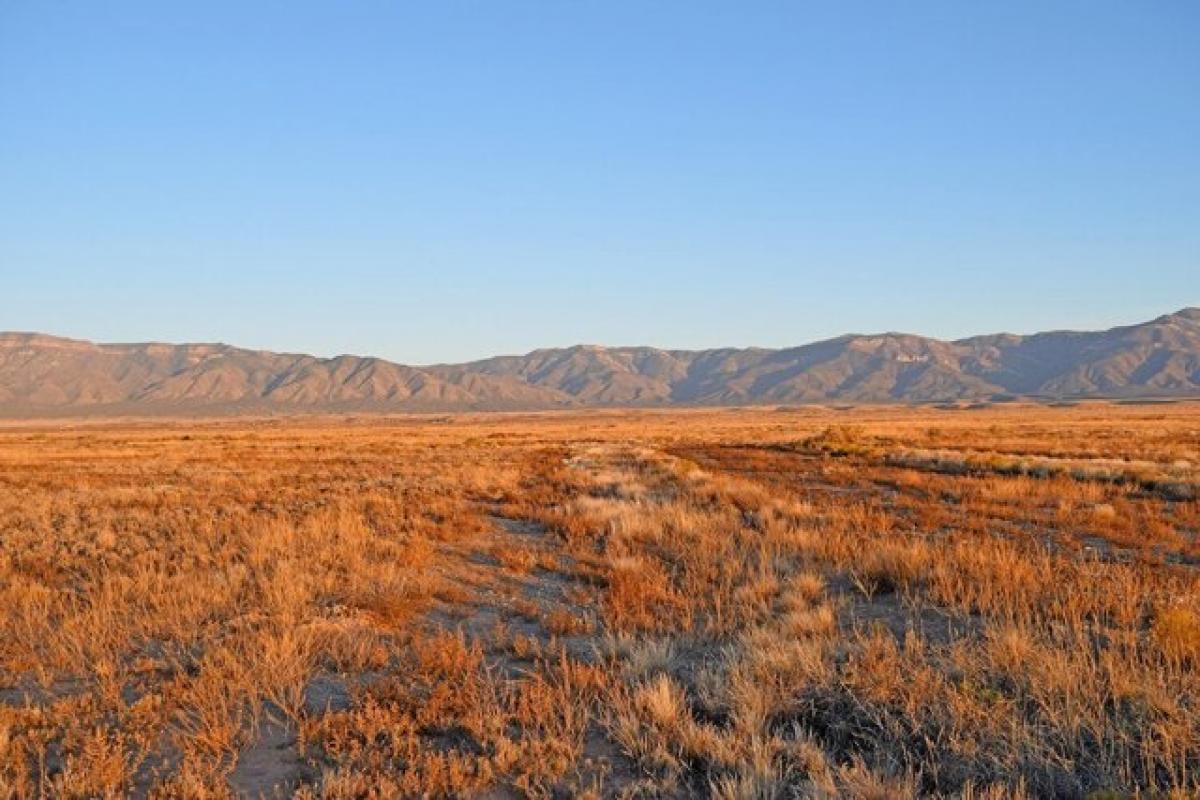 Picture of Residential Land For Rent in Los Lunas, New Mexico, United States