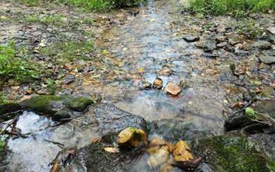 Residential Land For Sale in Hayesville, North Carolina