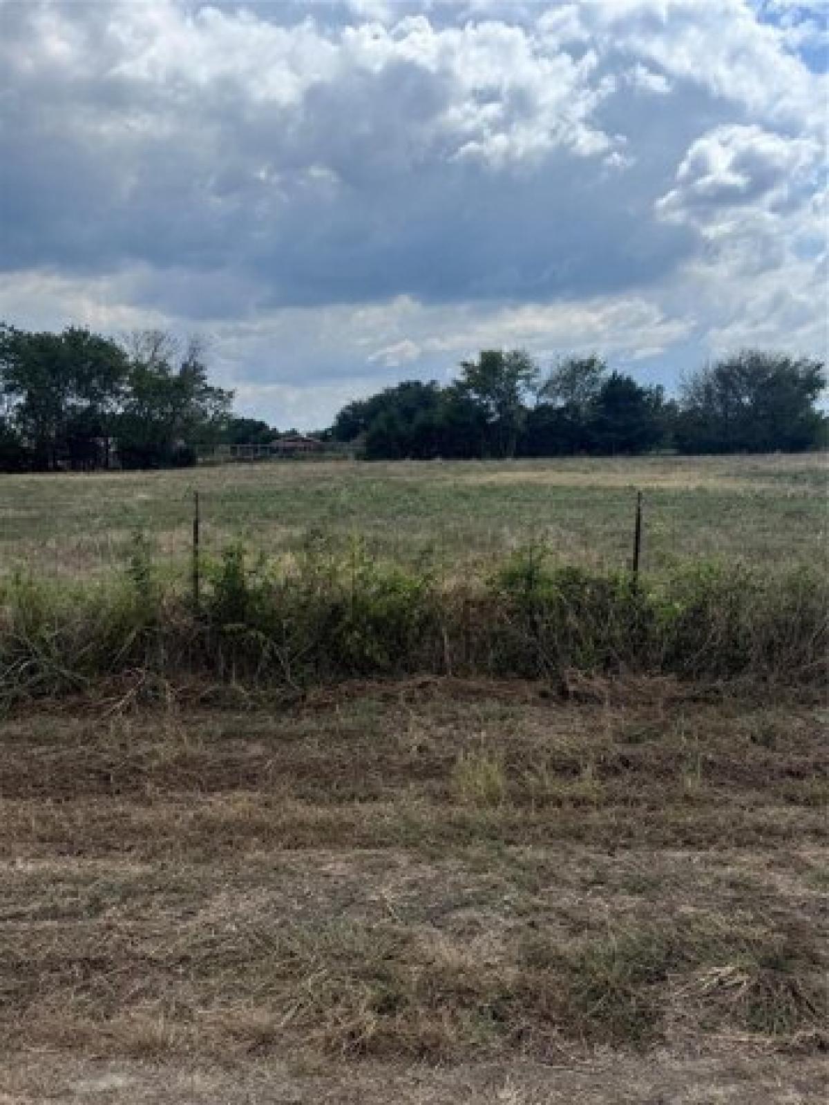 Picture of Residential Land For Sale in Quinlan, Texas, United States