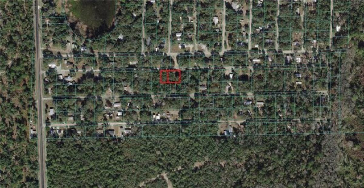 Picture of Residential Land For Rent in Silver Springs, Florida, United States