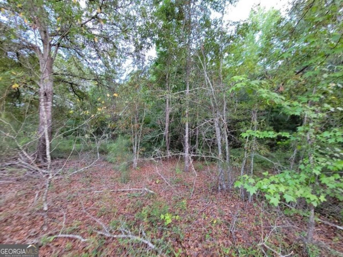 Picture of Residential Land For Sale in Millen, Georgia, United States