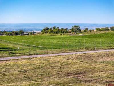Residential Land For Sale in Cedaredge, Colorado