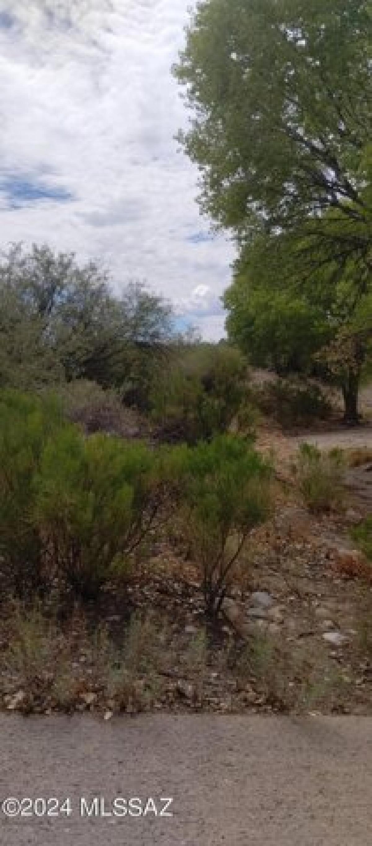Picture of Residential Land For Rent in Safford, Arizona, United States