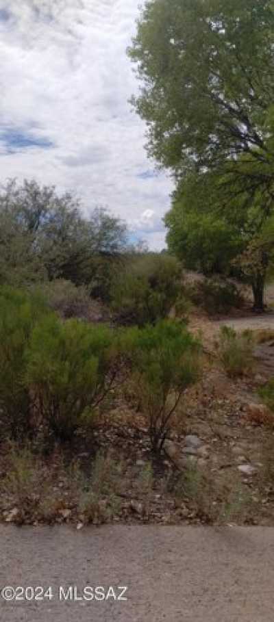 Residential Land For Rent in Safford, Arizona