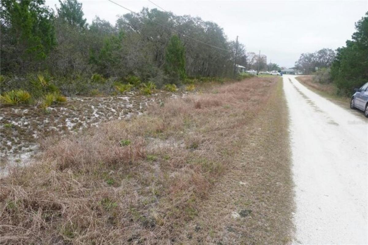 Picture of Residential Land For Rent in Avon Park, Florida, United States