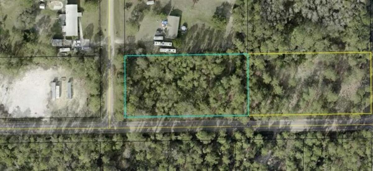 Picture of Residential Land For Sale in Bunnell, Florida, United States