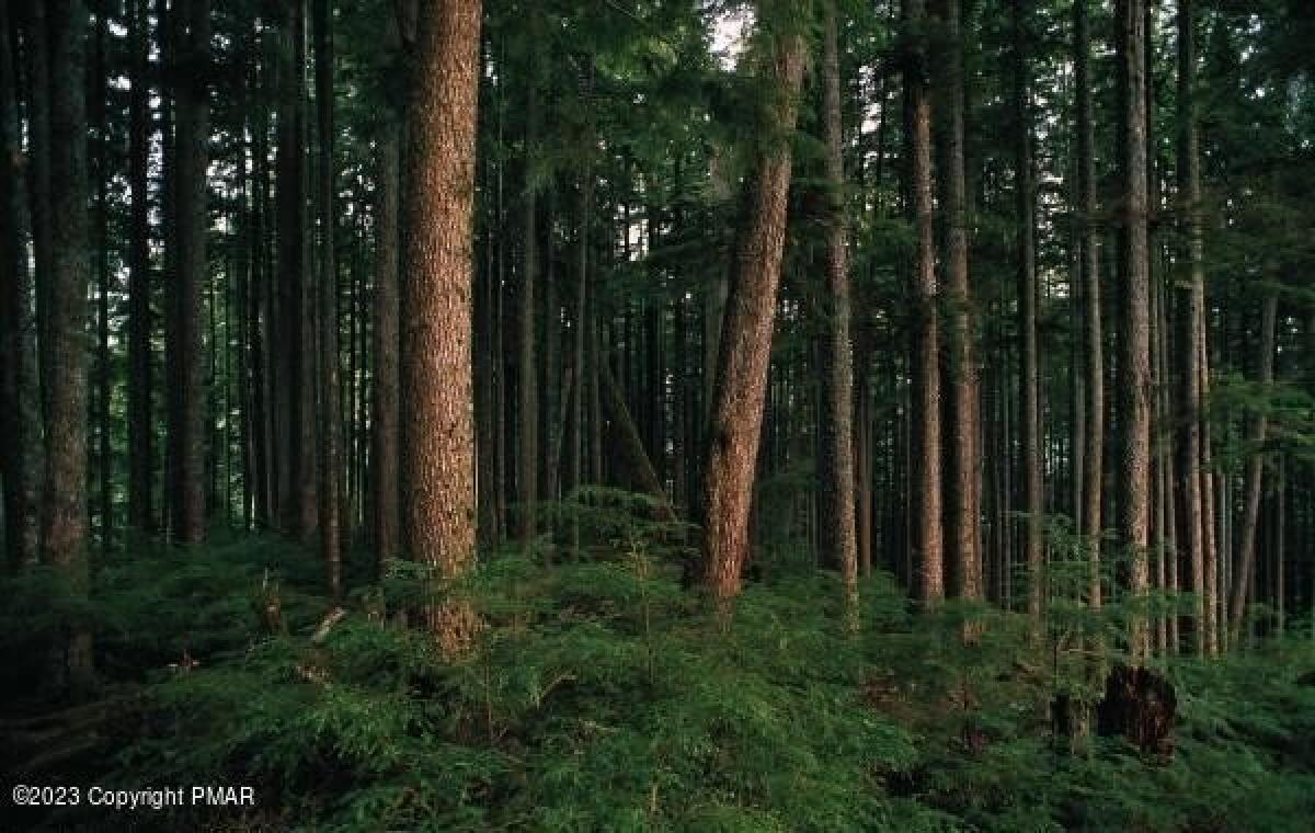 Picture of Residential Land For Rent in Albrightsville, Pennsylvania, United States