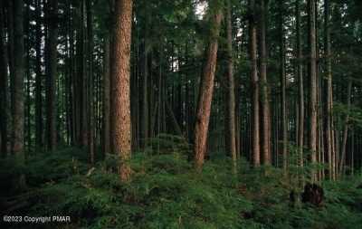 Residential Land For Rent in Albrightsville, Pennsylvania