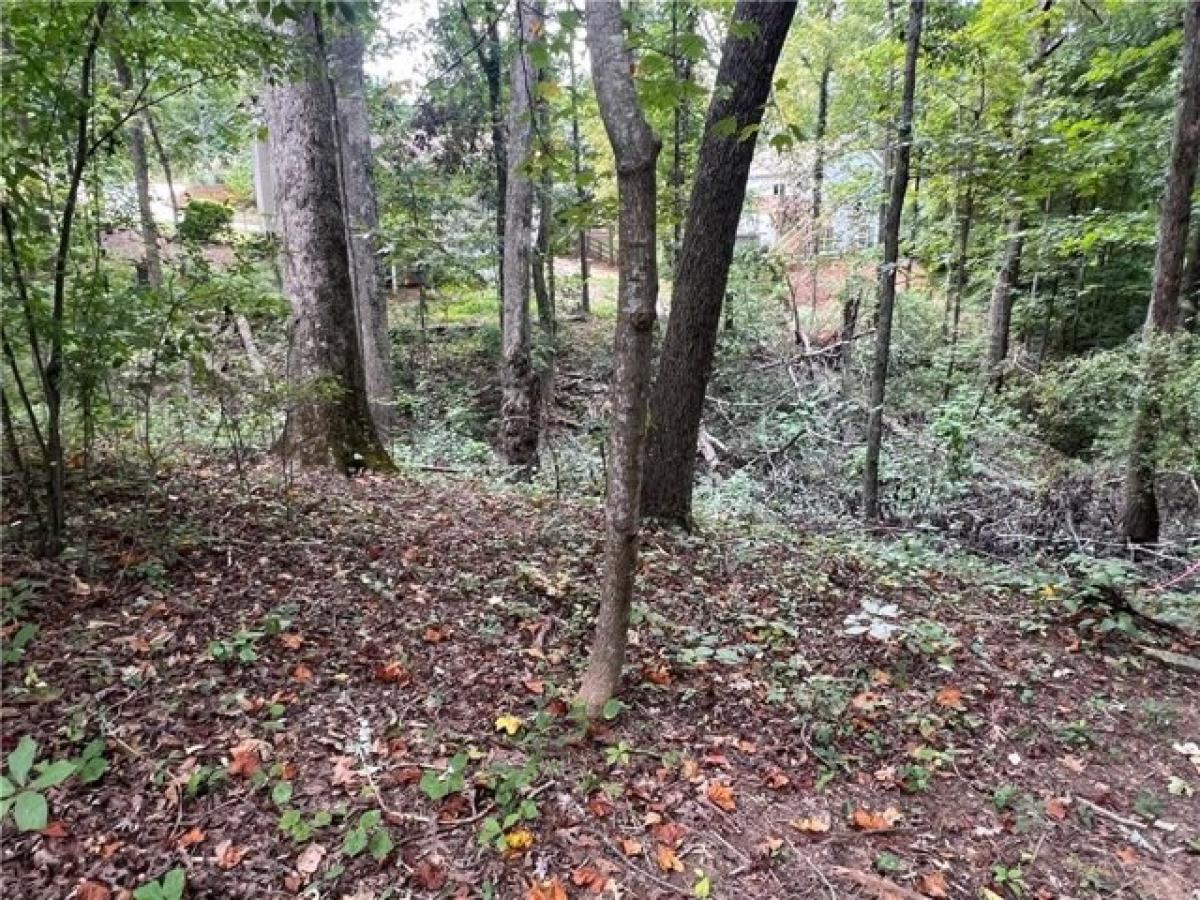 Picture of Residential Land For Sale in Cumming, Georgia, United States
