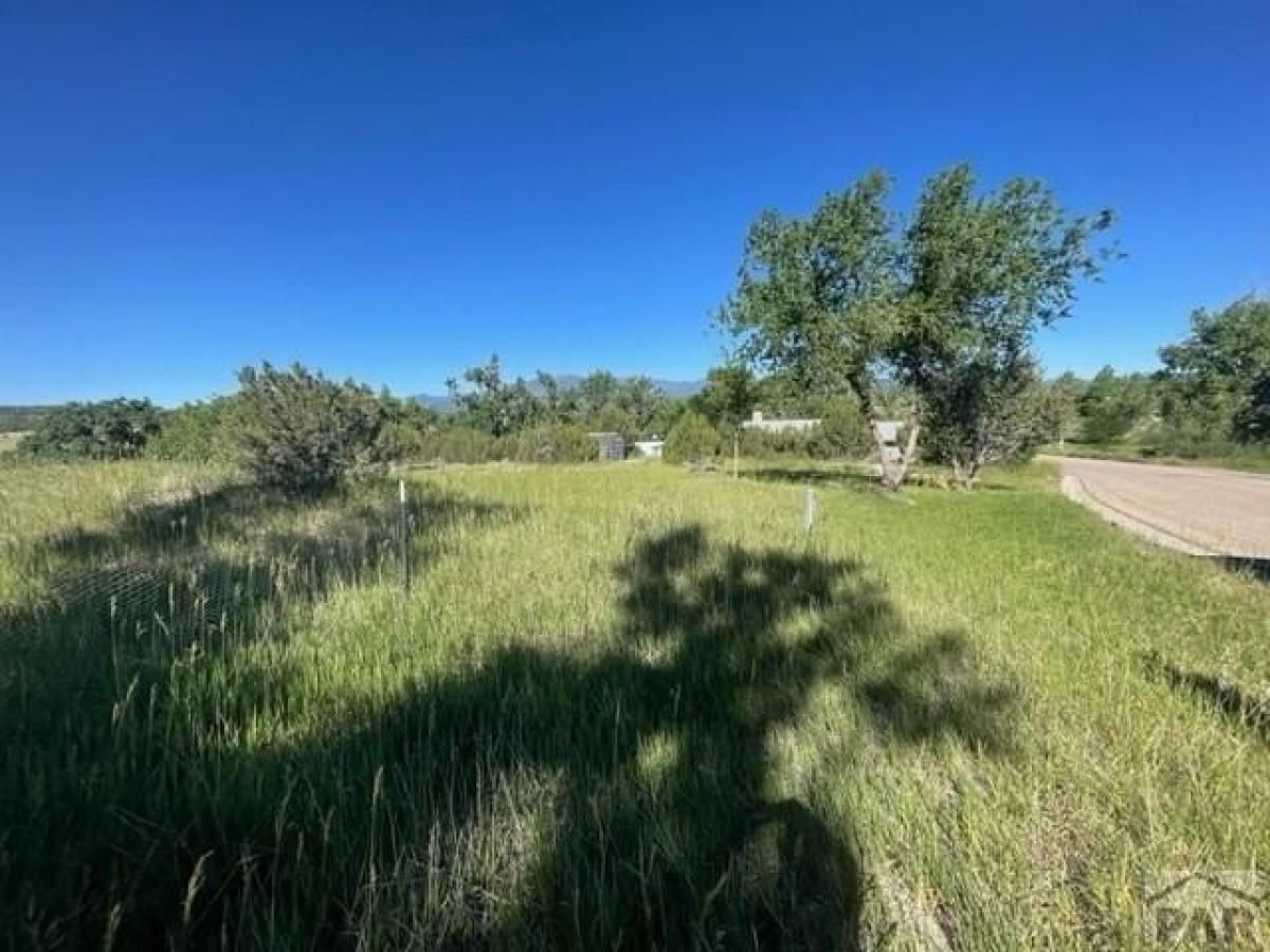 Picture of Residential Land For Sale in Colorado City, Colorado, United States