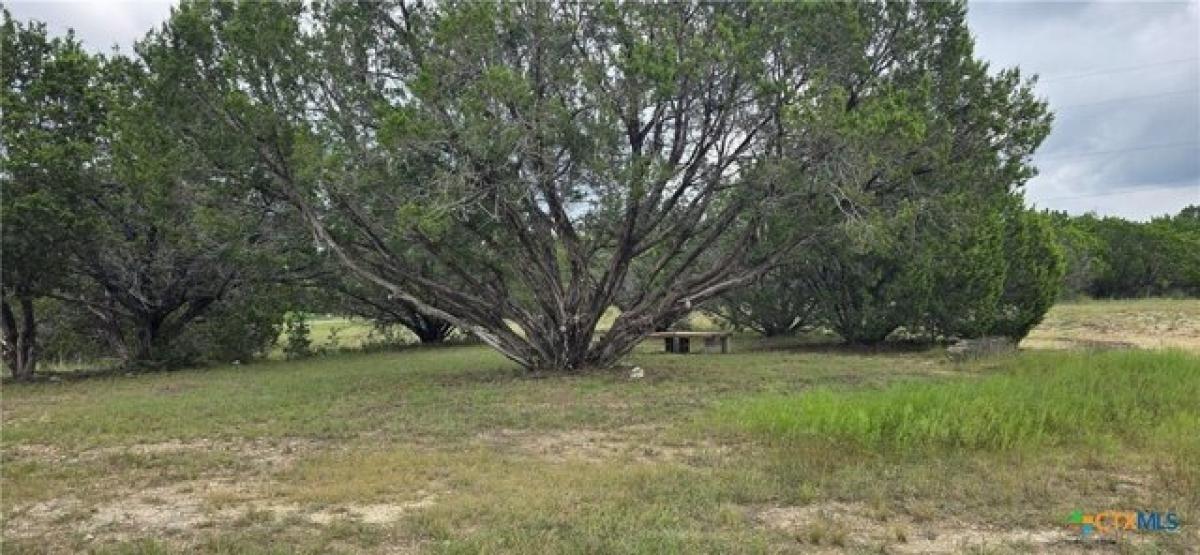 Picture of Residential Land For Sale in Gatesville, Texas, United States