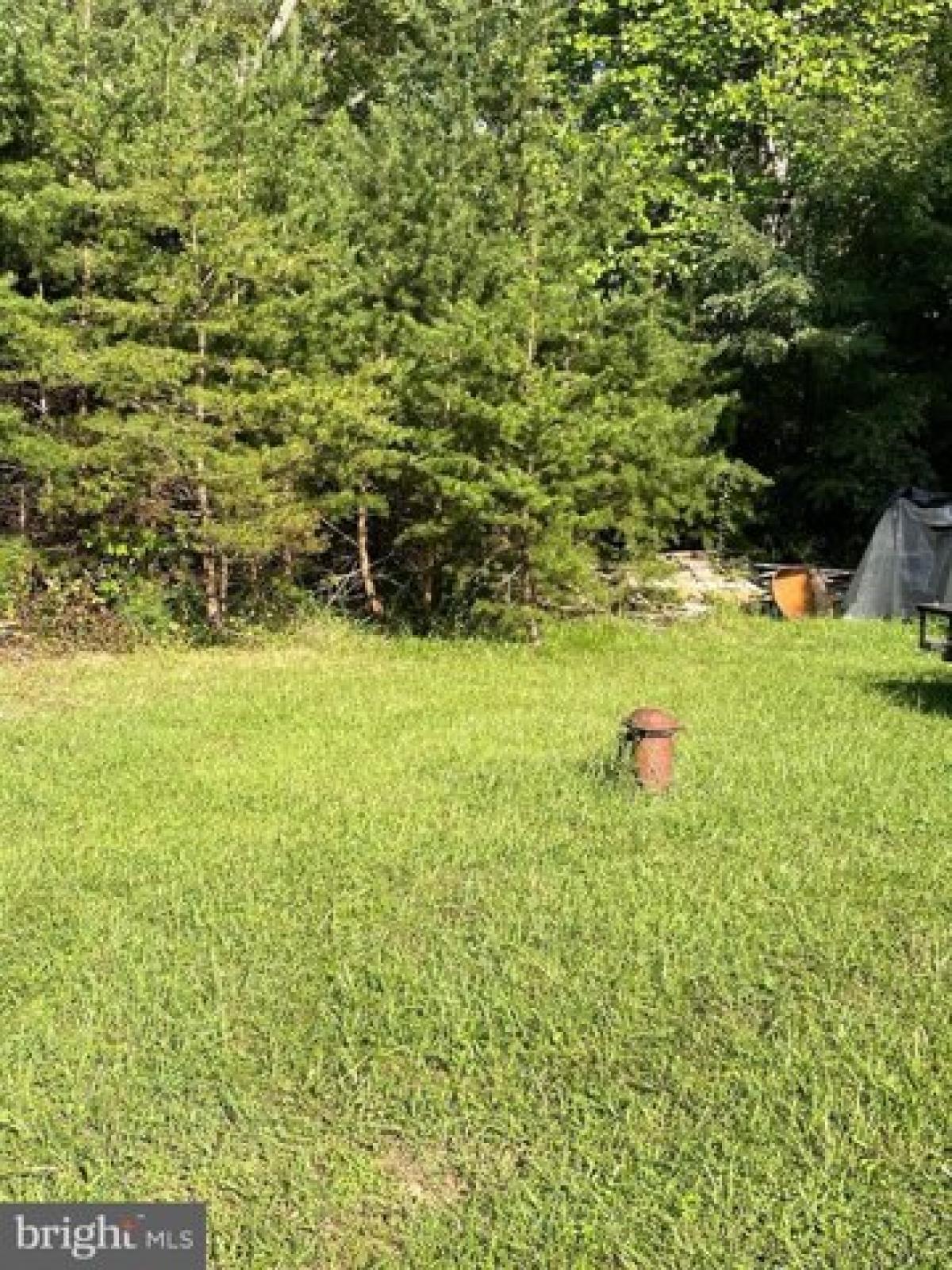 Picture of Residential Land For Sale in Culpeper, Virginia, United States