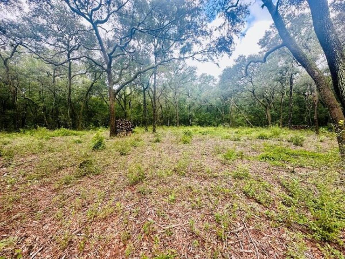 Picture of Residential Land For Sale in Chiefland, Florida, United States