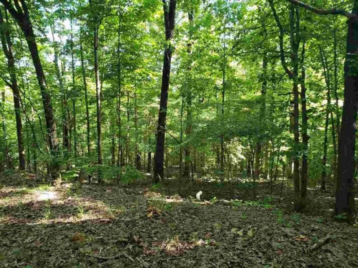 Picture of Residential Land For Rent in Cherokee Village, Arkansas, United States