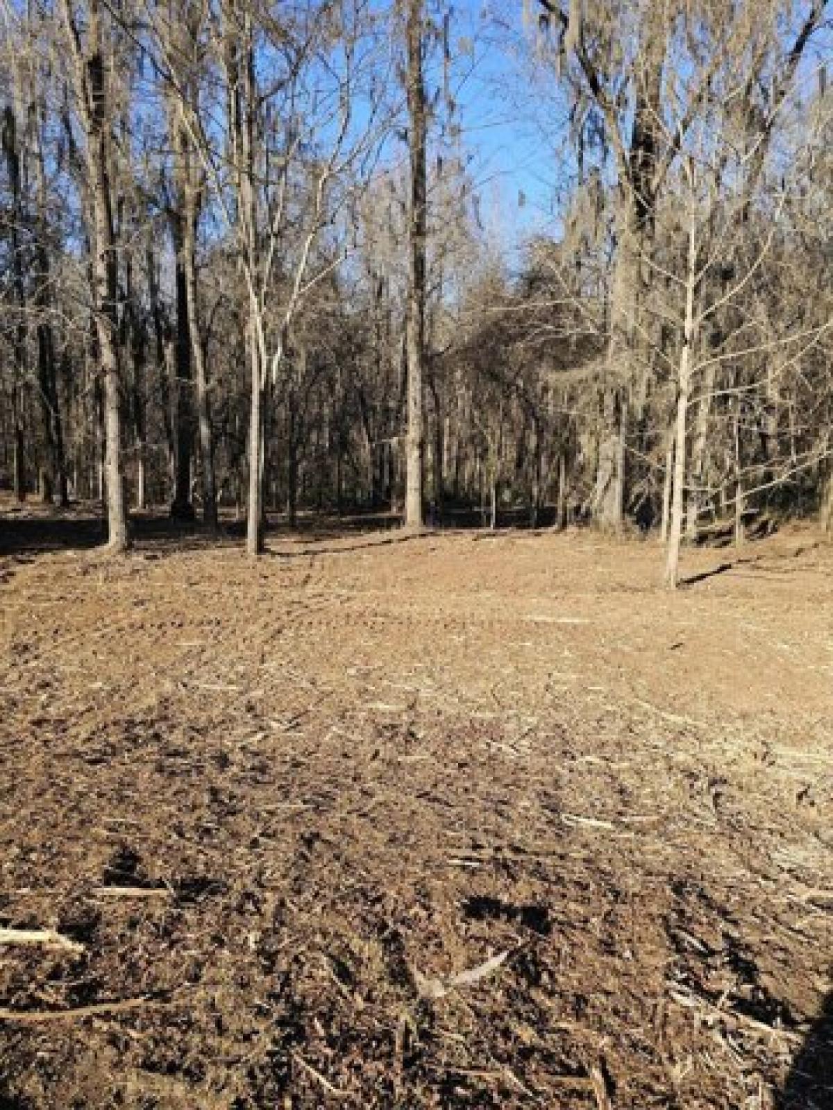 Picture of Residential Land For Sale in Waynesboro, Georgia, United States