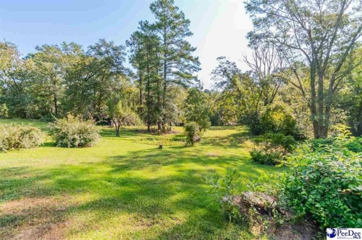 Picture of Home For Sale in Wallace, South Carolina, United States