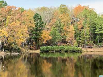 Residential Land For Sale in Mccalla, Alabama