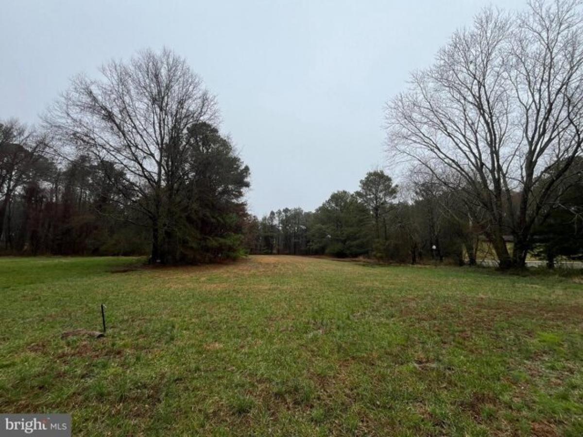 Picture of Residential Land For Sale in Marion Station, Maryland, United States