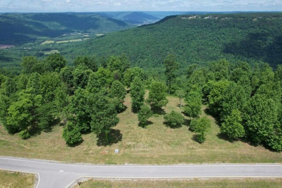 Picture of Residential Land For Sale in Jasper, Tennessee, United States