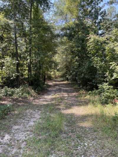 Residential Land For Sale in Clearwater, South Carolina