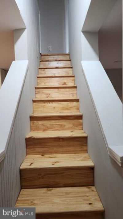 Apartment For Rent in Alexandria, Virginia