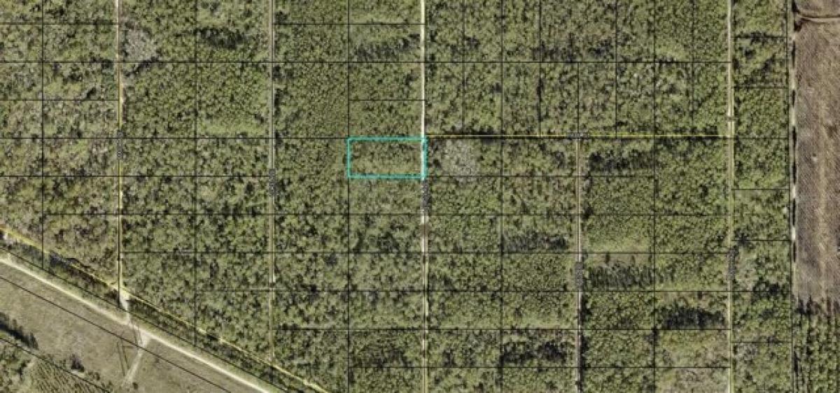 Picture of Residential Land For Rent in Hastings, Florida, United States