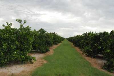 Residential Land For Sale in Arcadia, Florida