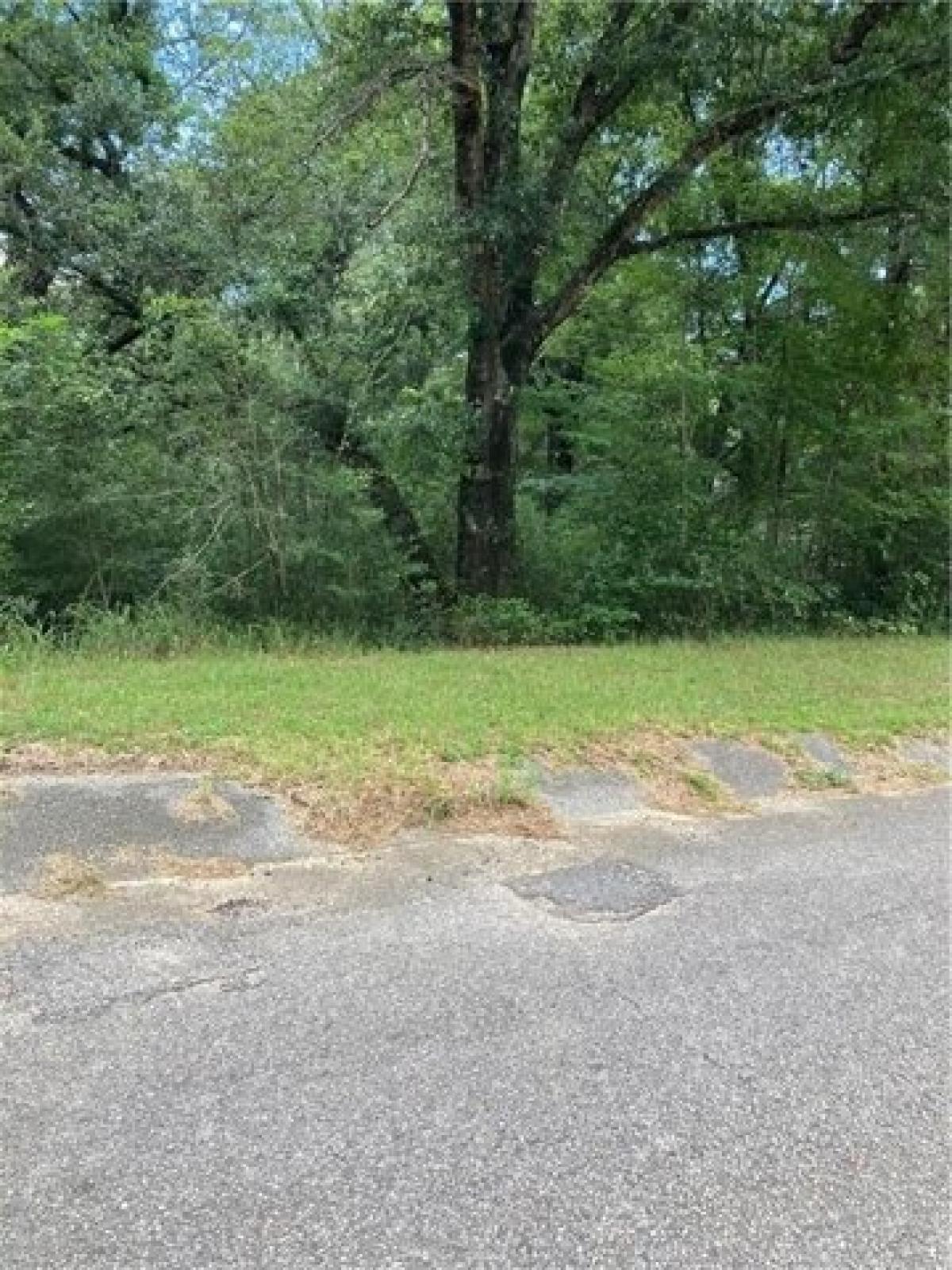 Picture of Residential Land For Sale in Eight Mile, Alabama, United States