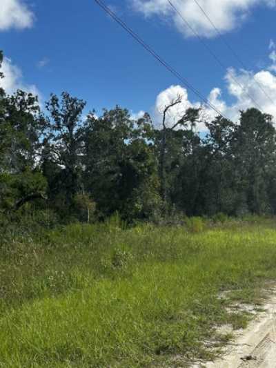 Residential Land For Sale in Perry, Florida