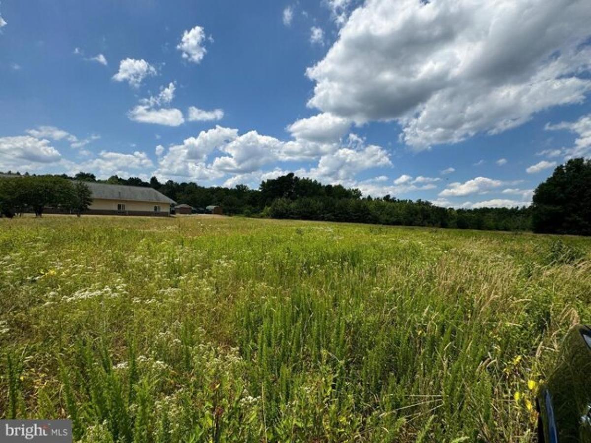 Picture of Residential Land For Sale in Chase City, Virginia, United States