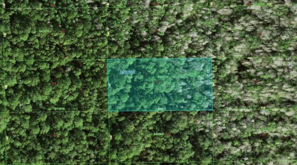 Picture of Residential Land For Rent in Polk City, Florida, United States