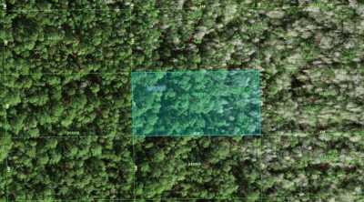 Residential Land For Rent in Polk City, Florida