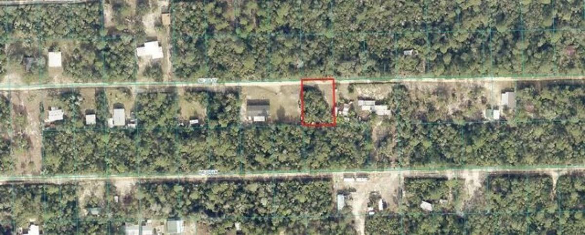 Picture of Residential Land For Rent in Fort Mccoy, Florida, United States