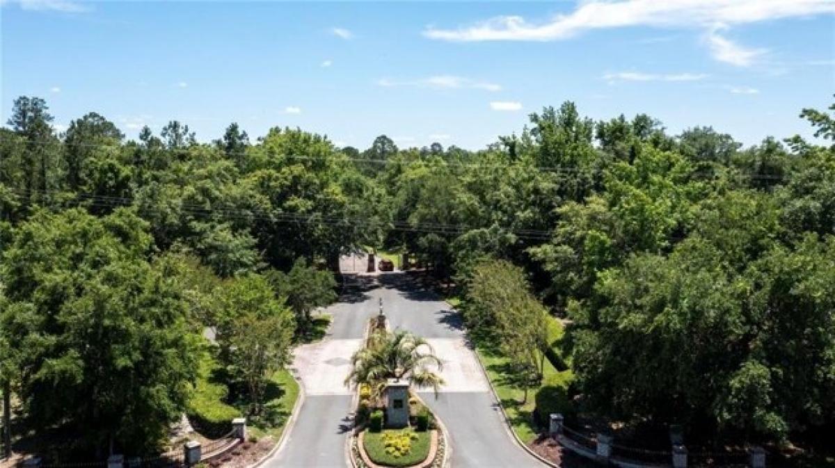 Picture of Residential Land For Sale in Woodbine, Georgia, United States