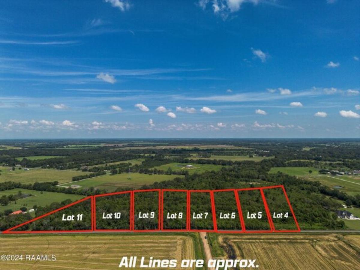 Picture of Residential Land For Sale in Church Point, Louisiana, United States