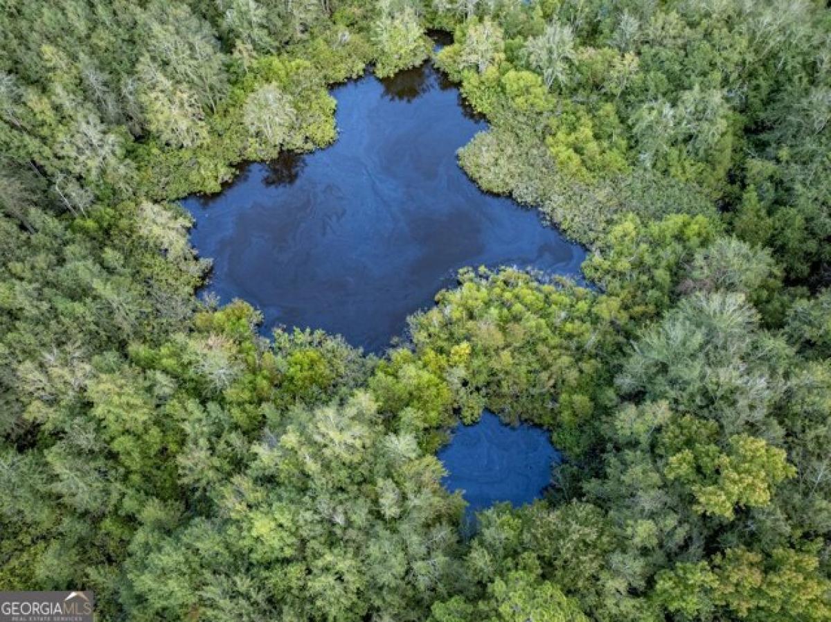 Picture of Residential Land For Sale in Sylvester, Georgia, United States