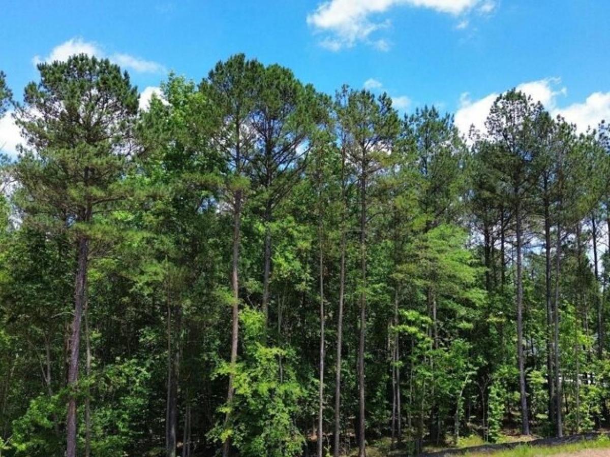 Picture of Residential Land For Sale in Jefferson, Georgia, United States