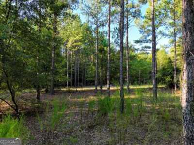 Residential Land For Sale in Warthen, Georgia