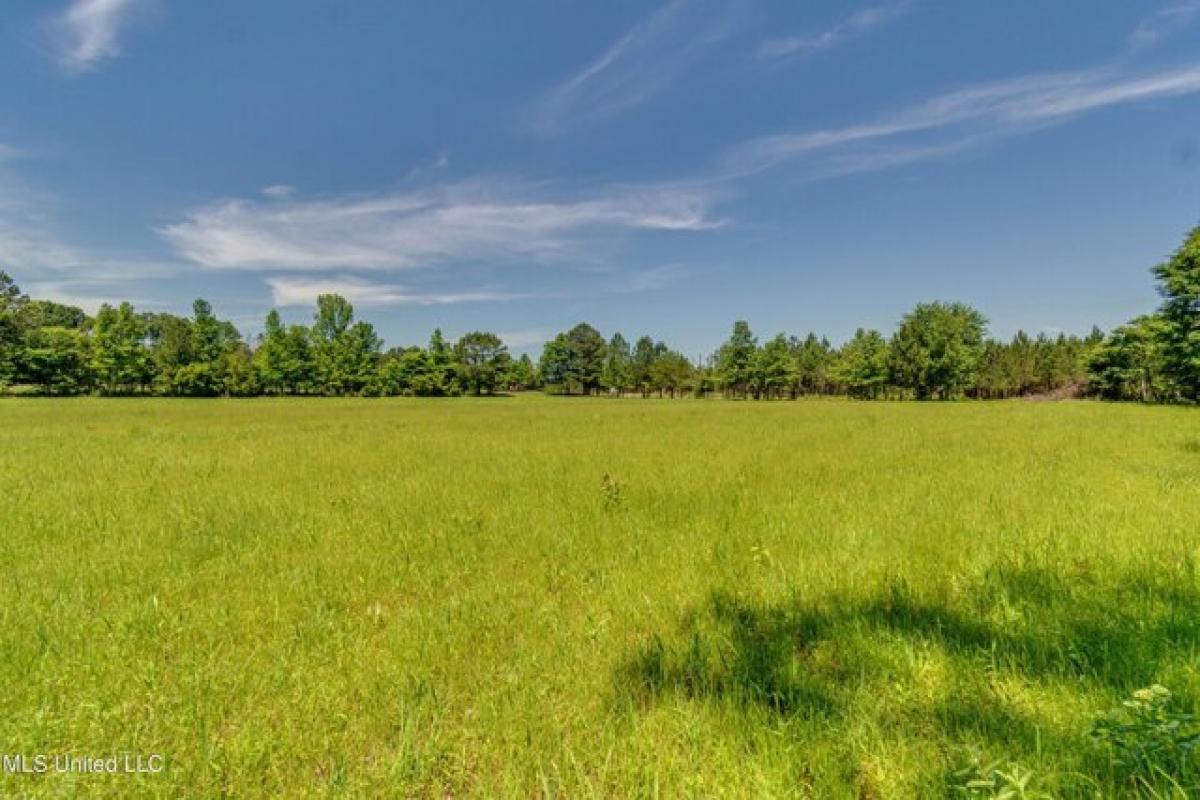 Picture of Residential Land For Sale in Canton, Mississippi, United States